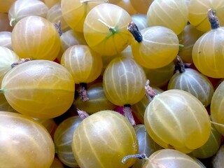 Gooseberry Berries Stacked Together in a Vibrant Display During a Sunny Day at a Local Market