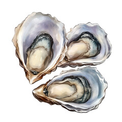 . Oyster watercolor illustration isolated on transparent. subject