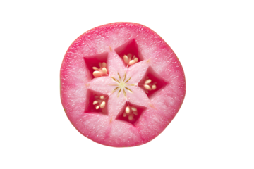 Close up of a cross section of a pink radish with a star shaped pattern carved into its flesh revealing seeds isolated on transparent background