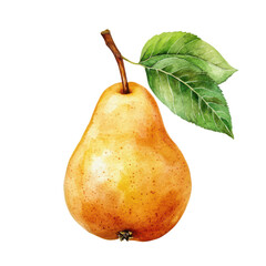 . Pear with leaf watercolor illustration isolated on whit subject