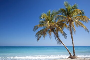 Fototapeta premium Minimalist Palm Trees Against the Ocean: Tranquil Beach Scene with Copy Space for Vacation Dreams