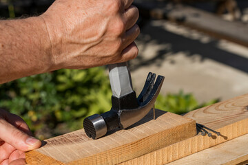 Worker using a nail suction hammer to remove a metal nail from a wooden board, closeup. Hand tool...