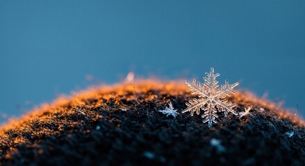 Delicate snowflake resting on a textured surface illuminated by warm golden sunlight against a contrasting cool blue background during a serene winter morning