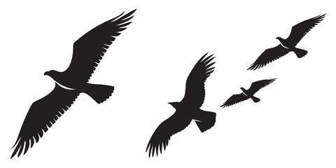 Obraz premium Four silhouette birds of prey in flight against a white background isolated on white background