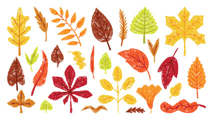 Crayon drawing autumn leaves. Leaf hand drawn colored pencil, seasonal fall plants. Foliage of maple oak birch, forest nature neoteric vector elements
