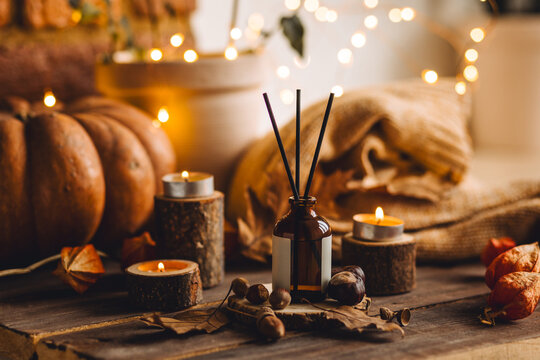 Hello autumn, cozy atmosphere, slow living. Fall mood. Reed diffusor, pumpkin, aromatic candle, warm sweaters, dry fall leaves, cinnamon, anise on wooden background. Thanksgiving apartment decor
