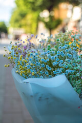 Colorful baby's breath flowers in a light blue paper bouquet