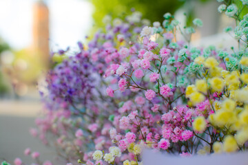 Colorful baby's breath flowers in a light blue paper bouquet
