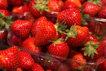 Fresh ripe red strawberries in plastic containers at market stall
