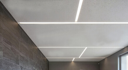 Obraz premium stylish ceiling design with gray tones and integrated LED strips in industrial style with accent walls 