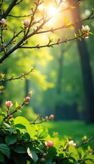 Serene Spring Landscape Sunlight Illuminates New Growth and Delicate Blossoms, Promising Warmth and Renewal