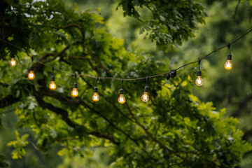 Fototapeta premium A line of glowing string lights hanging between trees in a lush green park, creating a warm and cozy outdoor atmosphere.