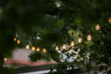 A line of glowing string lights hanging between trees in a lush green park, creating a warm and...