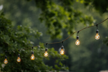 A line of glowing string lights hanging between trees in a lush green park, creating a warm and...