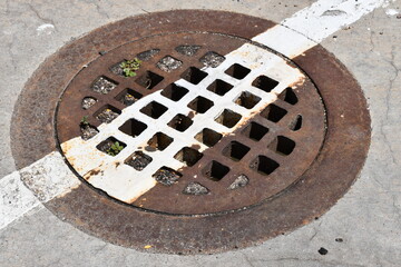 Drainage grate in parking lot. White paint stripe going across grate. Thick steel plate with square holes leading to sewer.