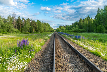 Railway rails stretching into the distance, between trees, grasses and flowers.