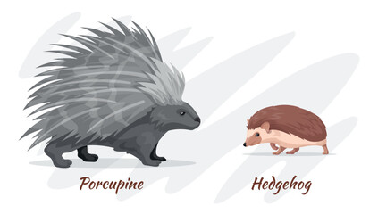 Porcupine and hedgehog. Prickly wild forest animals cartoon characters, cute hedgehogs vs porcupines funny baby animal autumn fall nature wildlife, neat vector illustration