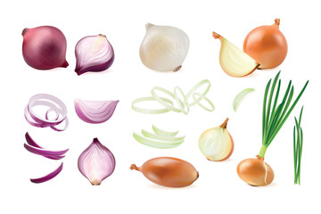 Realistic onion. 3d red green white onions cut ring half whole slice, shallot purple fresh vegetable with leaf farm food kitchen cooking herb vegan bulb, exact vector illustration