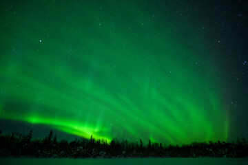 Vibrant Green Aurora Borealis Display over Snowy Winter Forest at Night