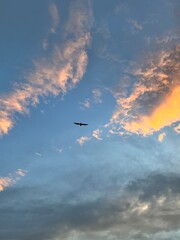 Bright blue sky with soft white clouds and a single bird soaring high