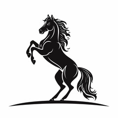 Horse Stand On Hind Legs On Image vector isolated on White Background.