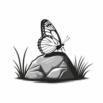 black and white butterfly on rock clip art preview
