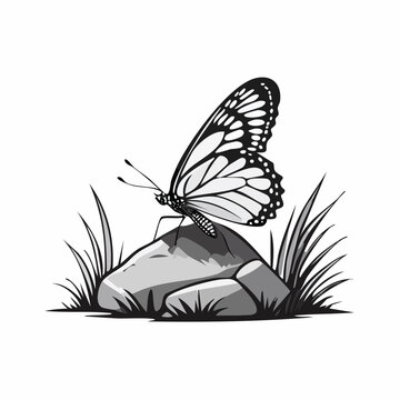 black and white butterfly on rock clip art preview