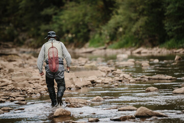 Fisherman walking in river, fly fishing for trout in mountain stream