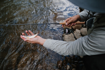 Fisherman showing a small trout just caught in river