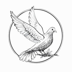 Dove On Circle Image Vector isolated on white background.