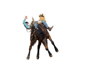 Bucking bronco horse at country rodeo png or white background