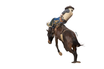 Bucking bronco horse at country rodeo png or white background