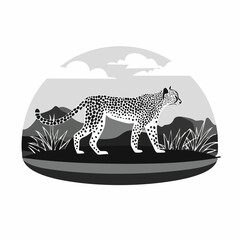 Black and white Cheetah gracefully walking in the savannah Image vector isolated on white background.