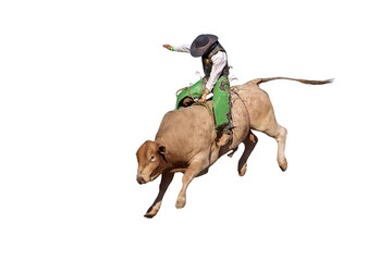 A cowboy bull riding at a country rodeo, png or white background