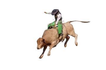 A cowboy bull riding at a country rodeo, png or white background