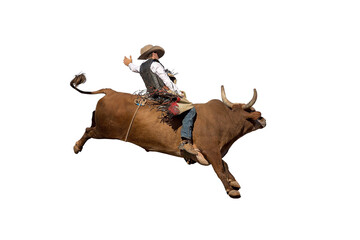 A cowboy bull riding at a country rodeo, png or white background