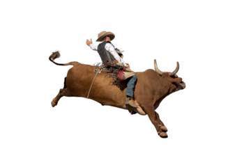 A cowboy bull riding at a country rodeo, png or white background