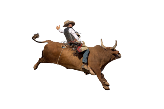 A cowboy bull riding at a country rodeo, png or white background