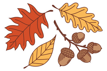 Autumn Leaf Vector Set — Hand-Drawn Fall Leaves, Flat Icons & Seasonal Patterns for Packaging and Decor

