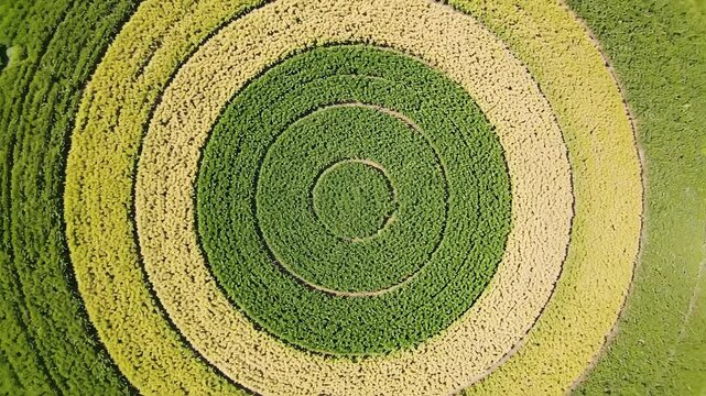 Aerial view of concentric crop circles in a green and yellow field agriculture pattern
