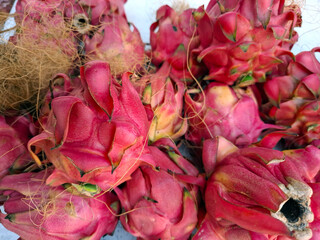 Ripe pitahaya gathered from the farm in bright pink hues, showcasing its unique texture and form...