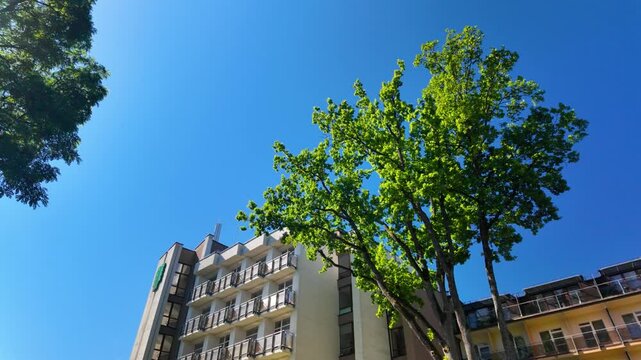 Low-angle view of Egles sanatorija framed by tall green trees in Birstonas, Lithuania