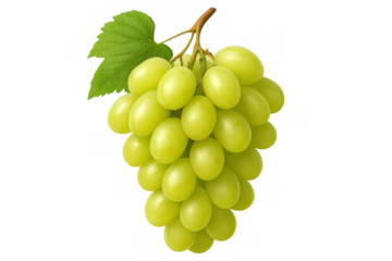 Green grape cluster hanging on vine, close-up view displaying plump, fresh produce against transparent background