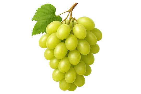 Green grape cluster hanging on vine, close-up view displaying plump, fresh produce against transparent background