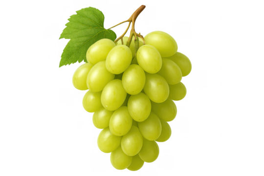 Green grape cluster hanging on vine, close-up view displaying plump, fresh produce against transparent background