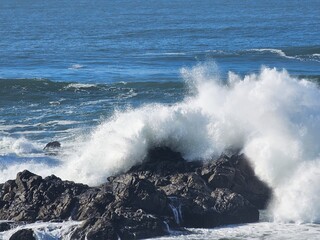 Scenes from San Francisco