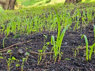 Scenes from San Francisco