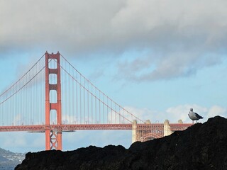 Scenes from San Francisco