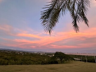 Sunset over ocean with palm trees in Puerto Rico