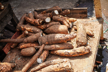 Rustic pile of freshly harvested cassava roots, featuring the natural texture of the tubers. The...